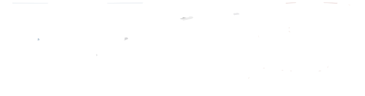 MDS Logo